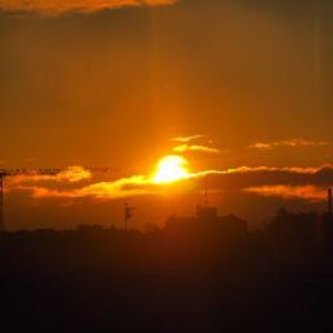 Meet your Posher, Emerson